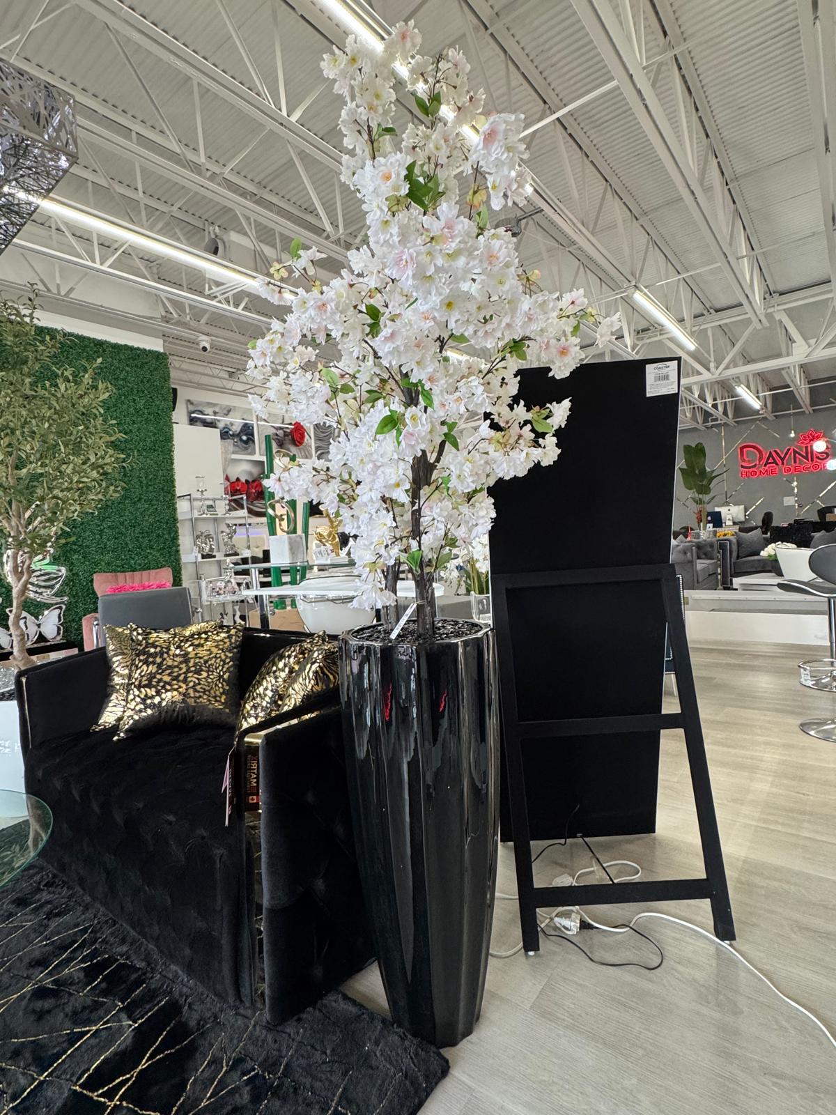 BLACK VASE PLANT