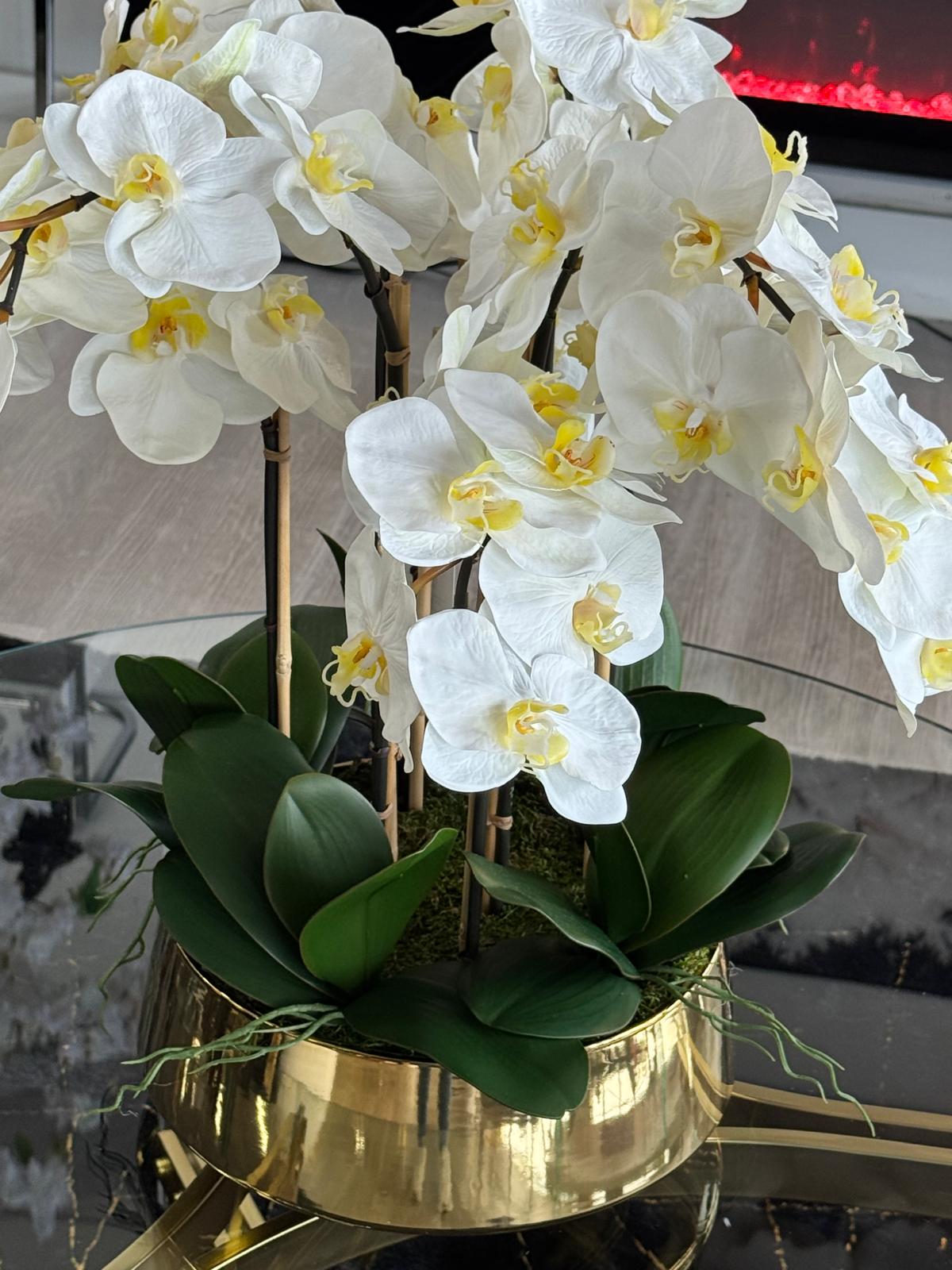 GOLD VASE WHITE ORCHIDS