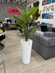 WHITE VASE PLANT