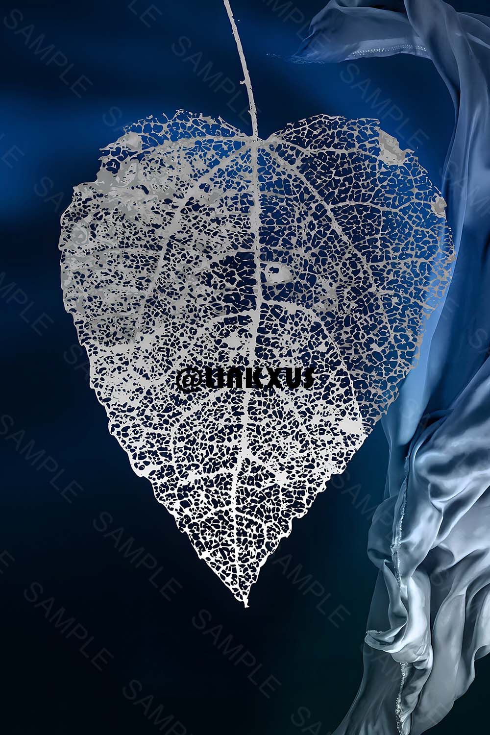 LEAVES WITH BLUE BACKGROUND