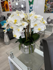 WHITE SMALL ORCHIDS