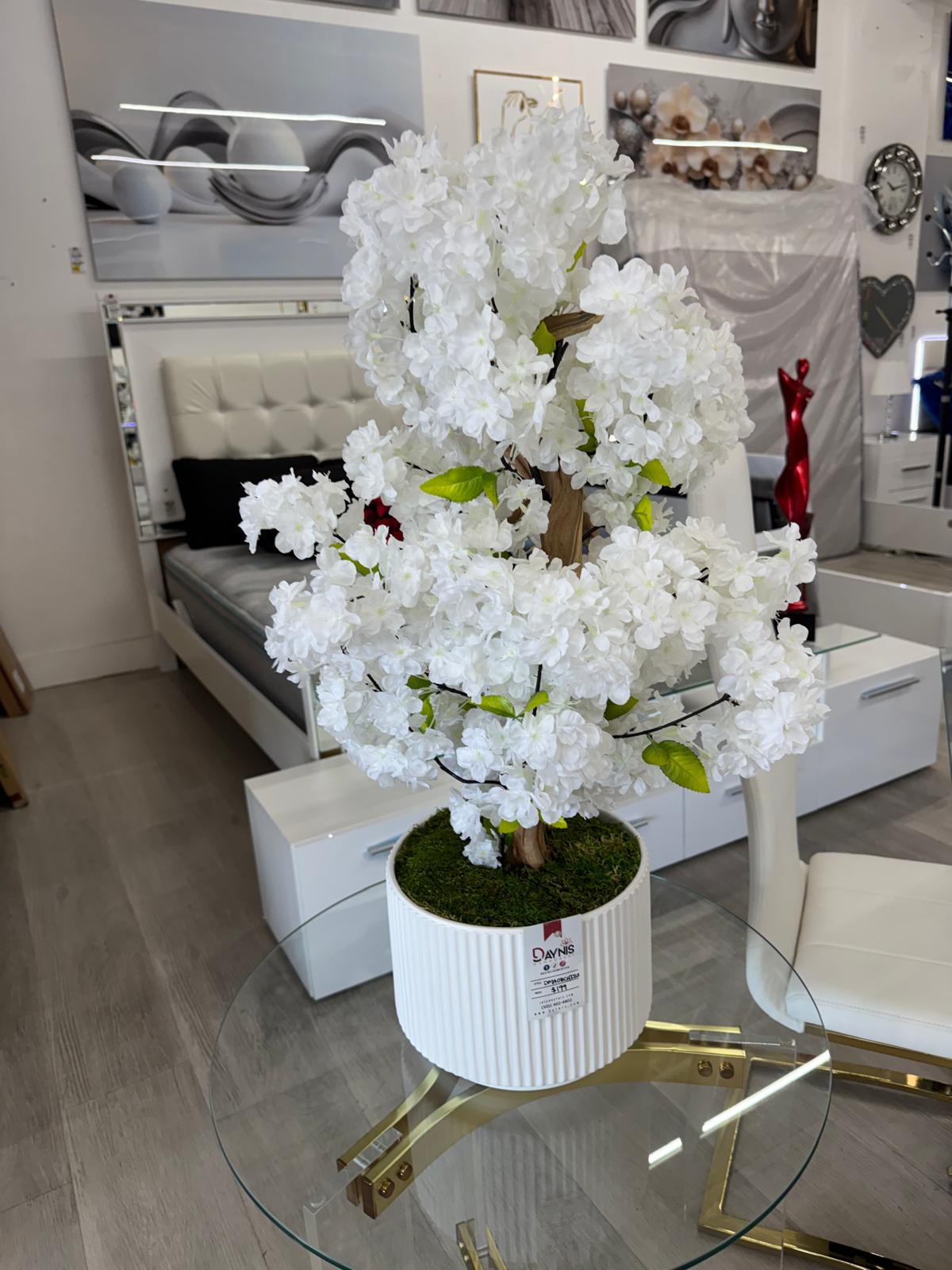 WHITE ARRANGEMENT