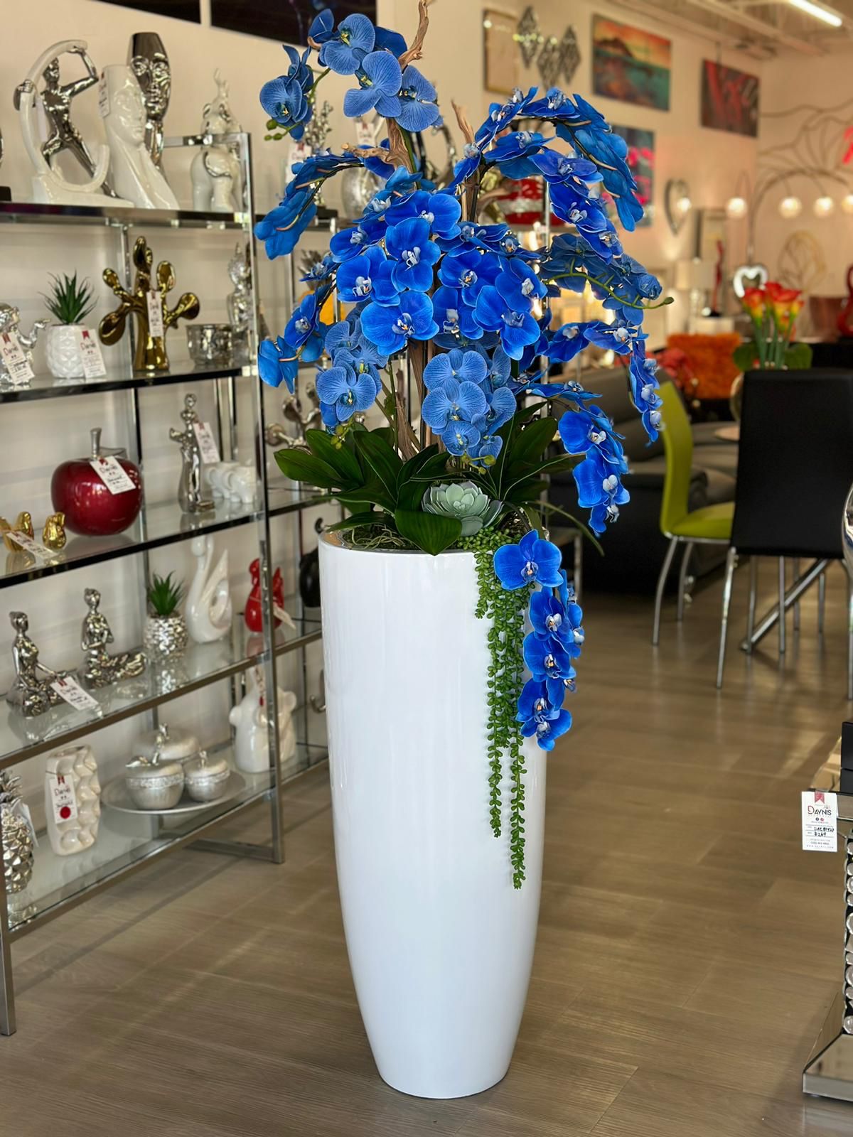 FLORAL/PLANT ARRANGEMENT