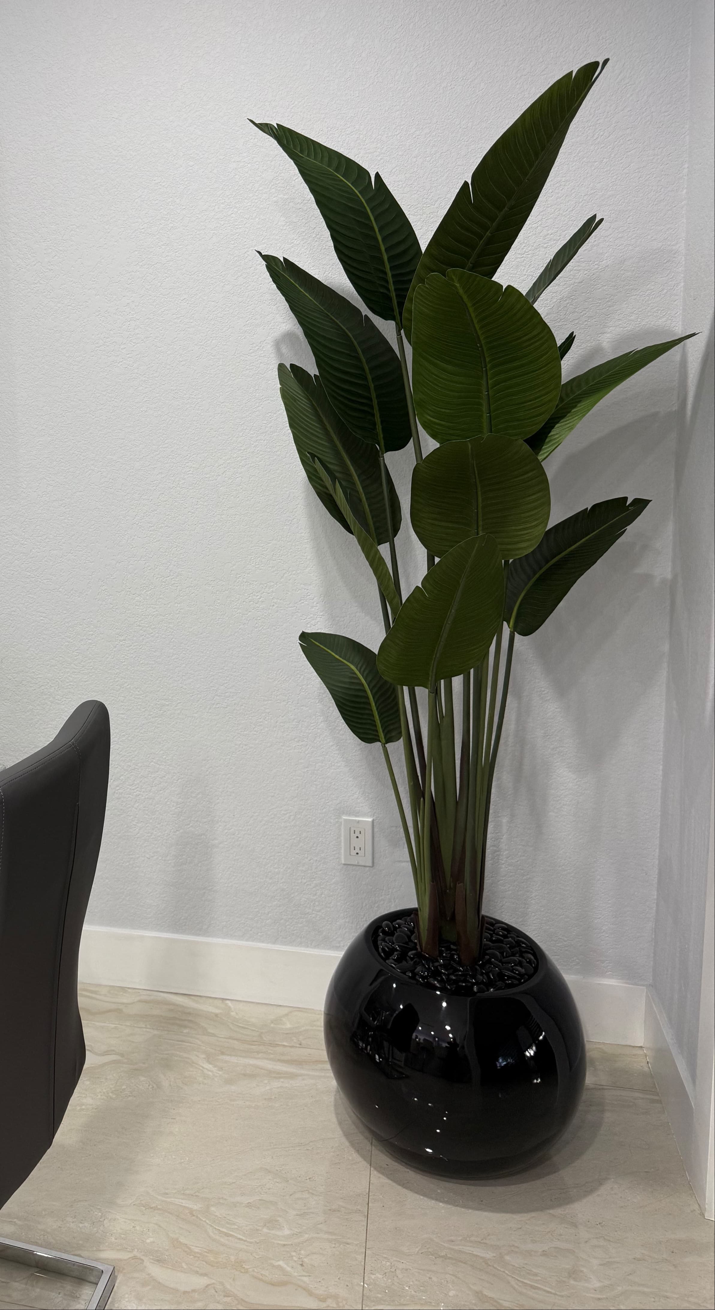 BIRD OF PARADISE ARRANGEMENT